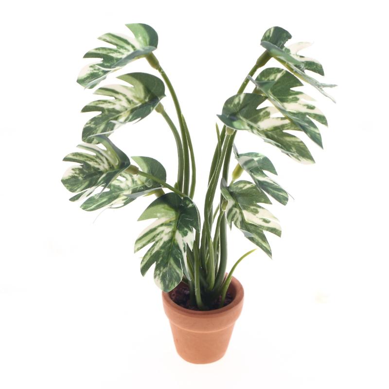Bonsai Garden Decor - Nuovo. 1 Pezzo Pianta Verde Monstera