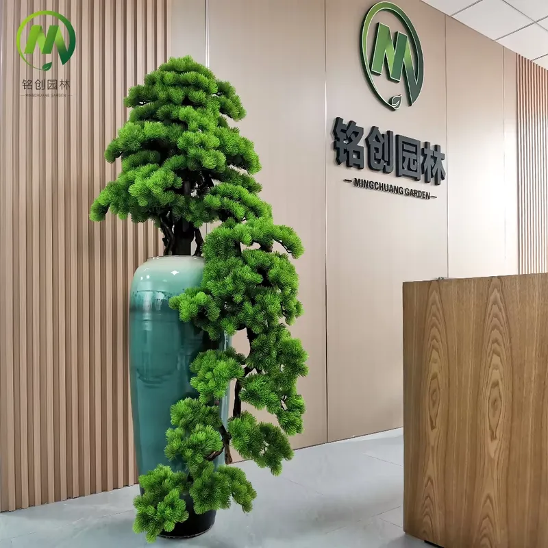 Pino Decorativo Sempreverde Ar - Bonsai Tree Miniature Zen Garden recensione e prezzo