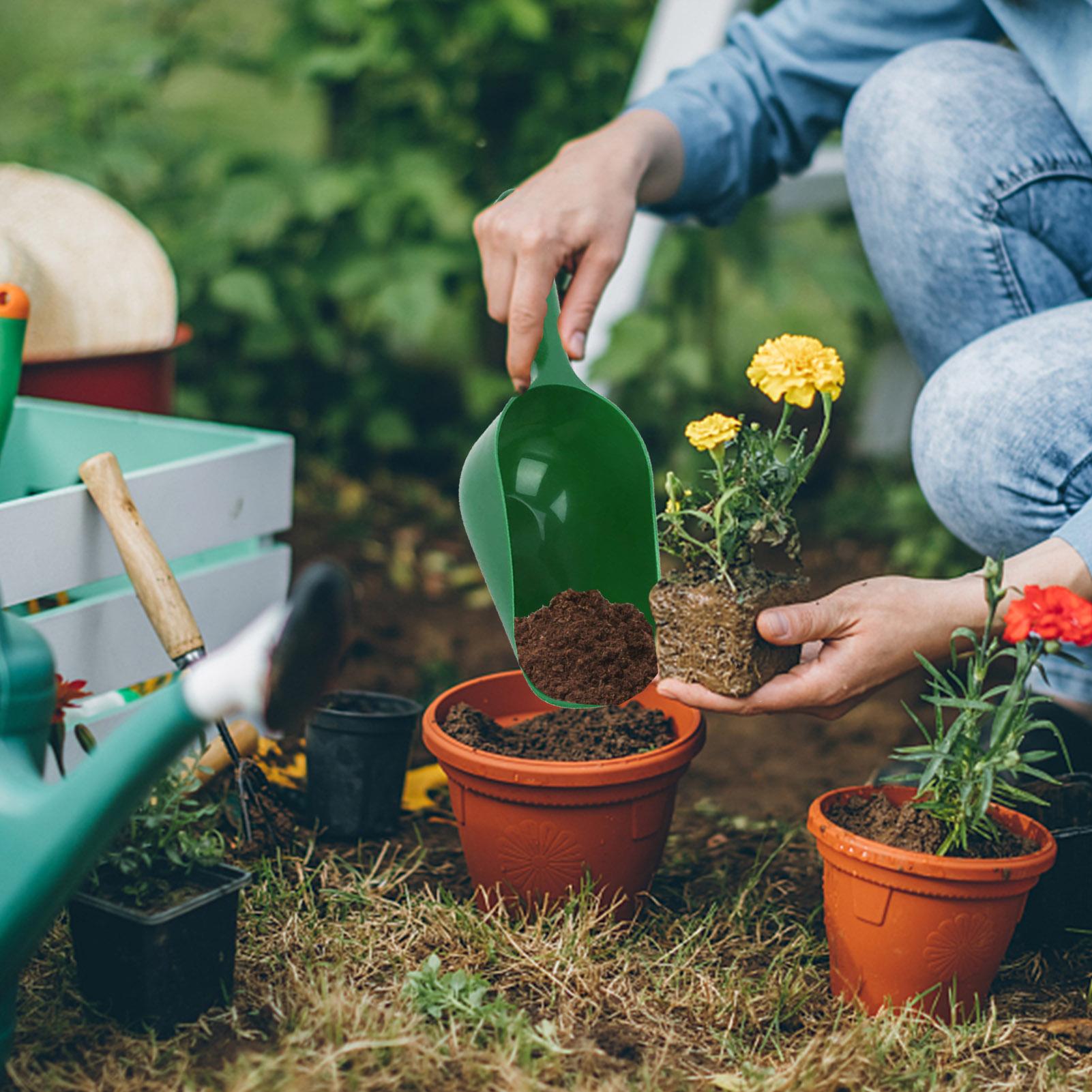 Pala da Giardinaggio Grande Ca - Soil Scoop Tool recensione e prezzo