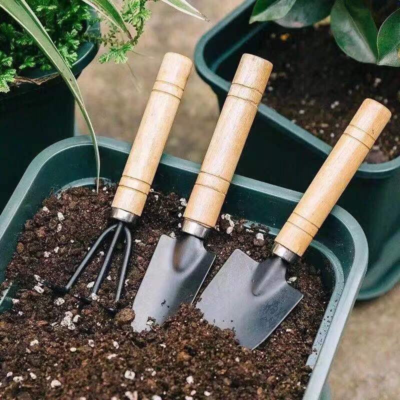 3PC/1Set Mini Attrezzi da giar - Soil Scoop Tool recensione e prezzo