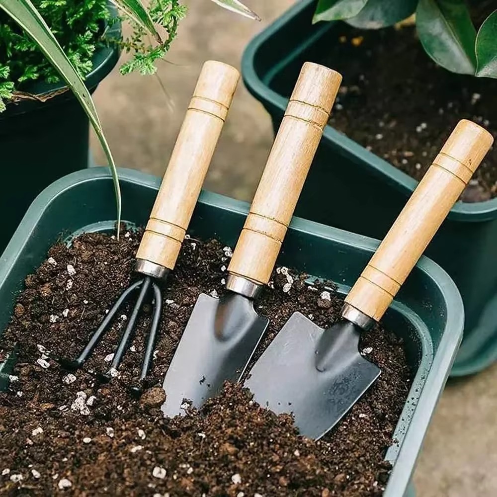 Set di 3 mini attrezzi da giar - Soil Scoop Tool recensione e prezzo