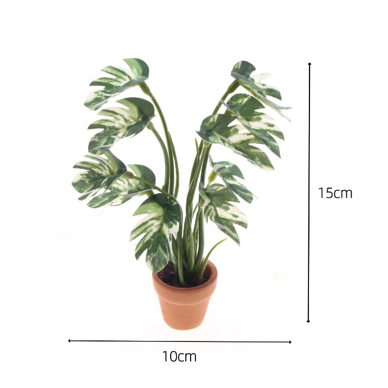 Nuovo. 1 Pezzo Pianta Verde Mo - Bonsai Garden Decor recensione e prezzo
