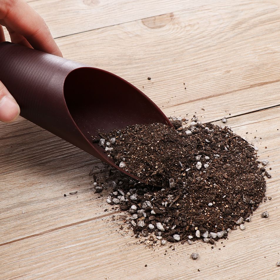 1 pz plastica terreno pala taz - Soil Scoop Tool recensione e prezzo